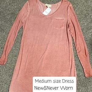 NWT Adorable Longsleeve teeshirt dress